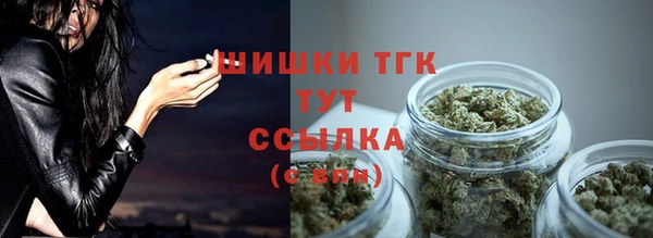 СК Аркадак