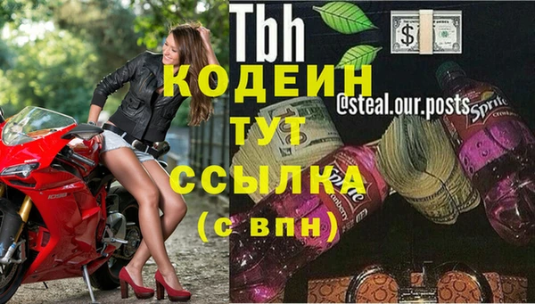 СК Аркадак