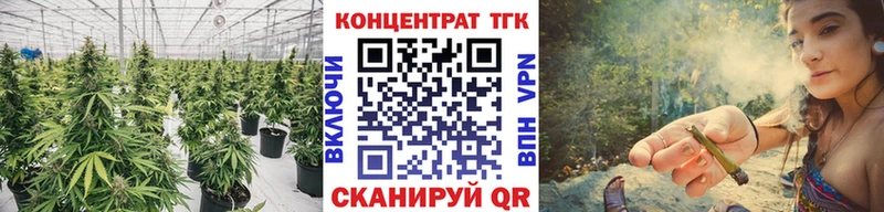 ТГК концентрат  OMG онион  Верхняя Пышма 